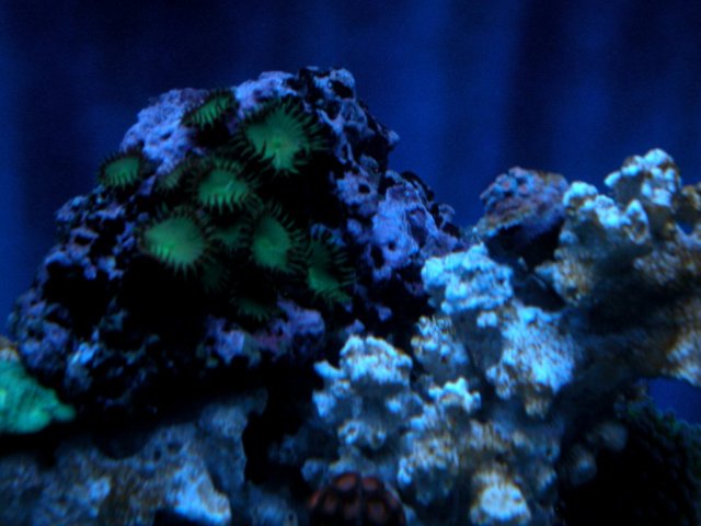 054-1024.jpg