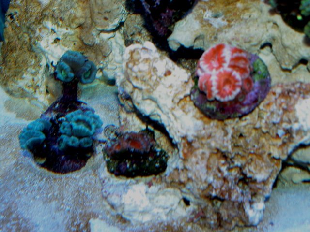 062-1024.jpg