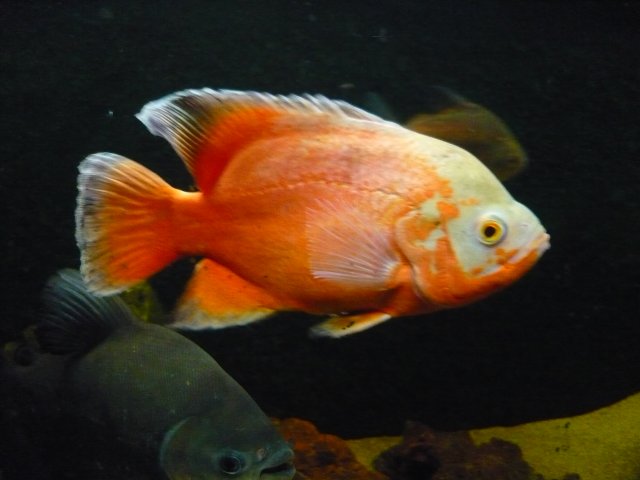 P1010159.JPG