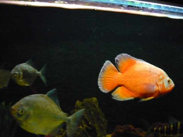 P1010150.JPG