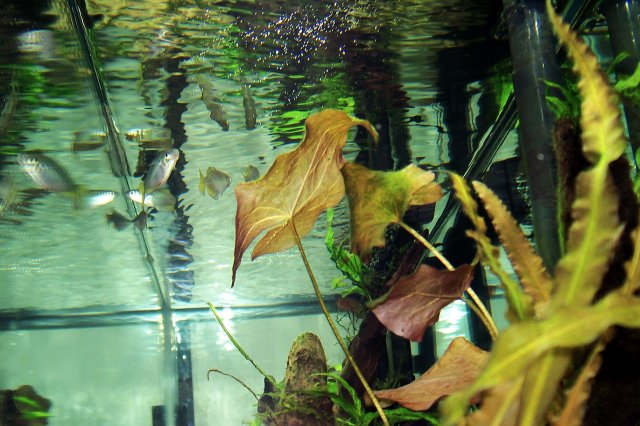 100_5033.jpg