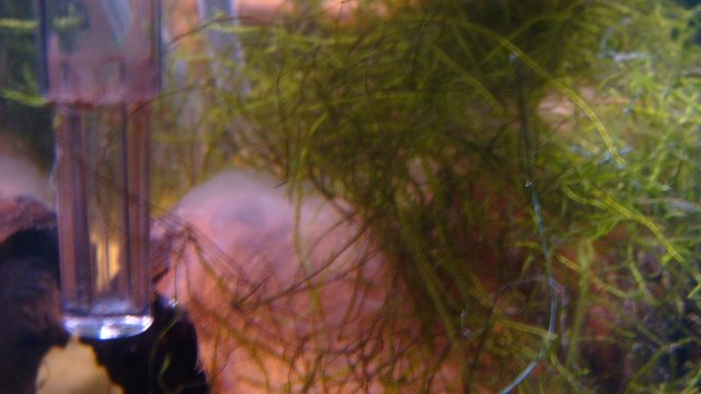 DSC05617.JPG
