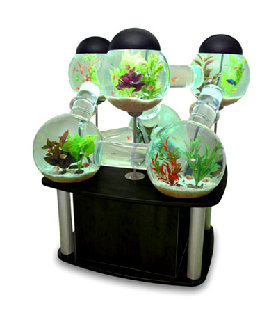 octopus-fish-aquarium.jpg octopus-fish-aquarium.jpg