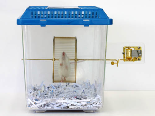 hamster-music-box.jpg hamster-music-box.jpg