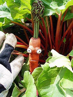 food0006.jpg food0006.jpg