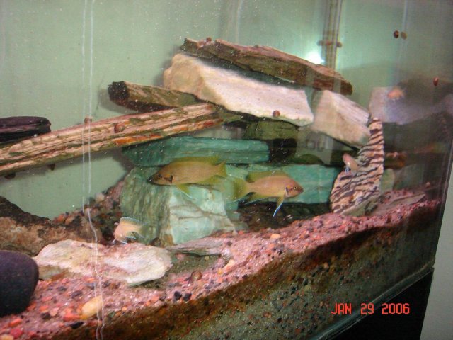 009.1.jpg