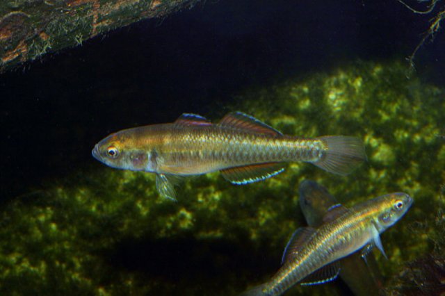 r227126_902194.jpg