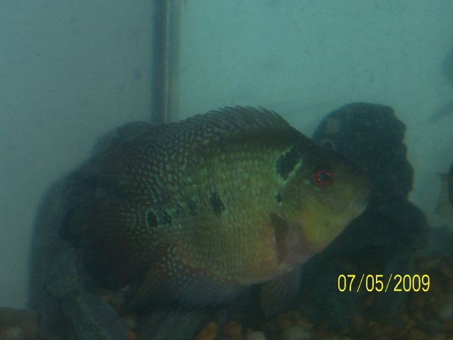 100_1108.JPG