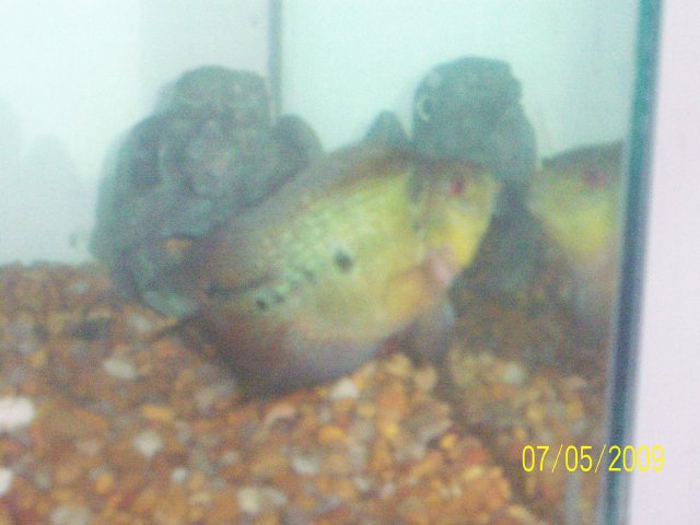 100_1111.JPG