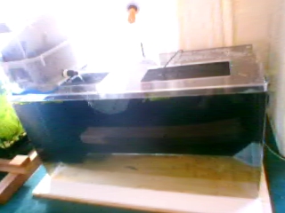 120642.jpg