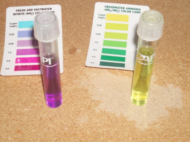 Readings.JPG Readings.JPG