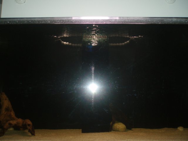 Front View.JPG Front View.JPG