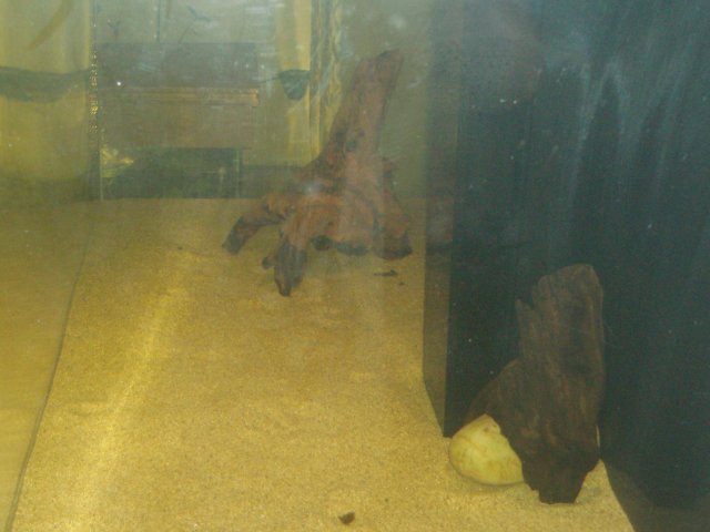 Side View.JPG Side View.JPG