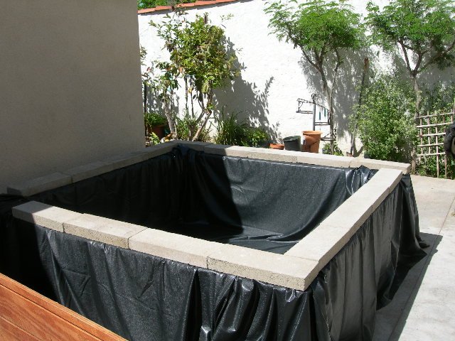 DSCN4215.JPG