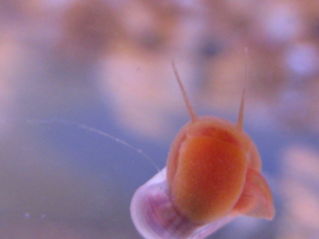 Picture 030.jpg