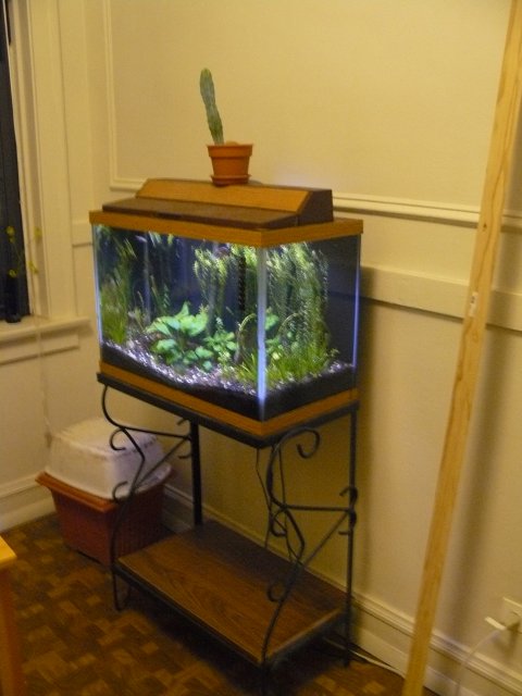 Picture 270.jpg Picture 270.jpg