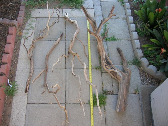 DSCN4324.JPG