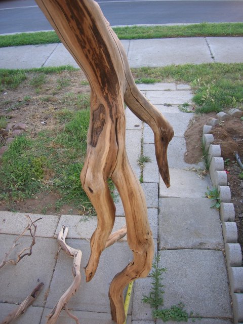 DSCN4327.JPG