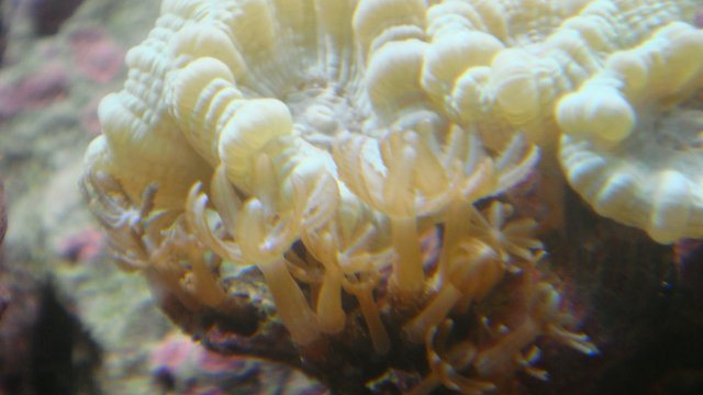 DSC01591.JPG DSC01591.JPG