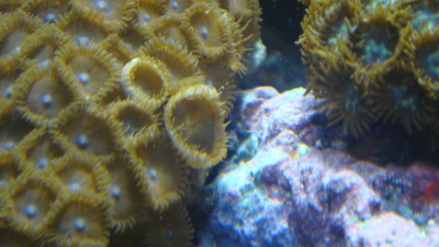 DSC01615.JPG DSC01615.JPG