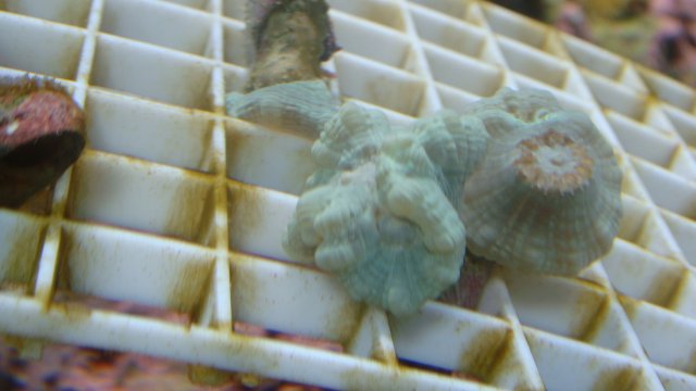 DSC01635.JPG DSC01635.JPG