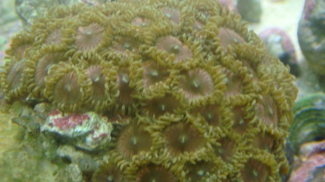 DSC01679.JPG DSC01679.JPG