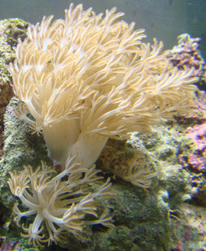 FISH02.jpg