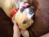 DSC09173.JPG