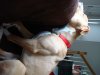 DSC09194.JPG
