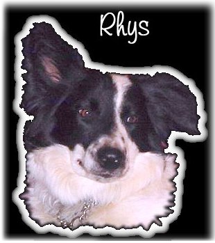 Rhys-b.jpg