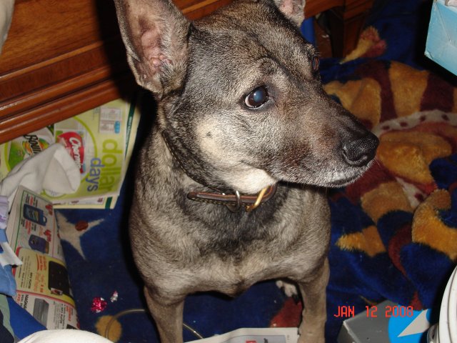 The Queen ***** 057.JPG