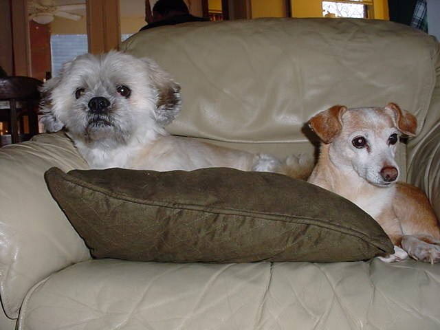 Chibi and Jake.jpg