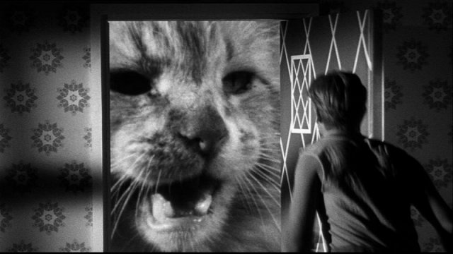 a Jack Arnold The Incredible Shrinking Man DVD Review PDVD_011.jpg