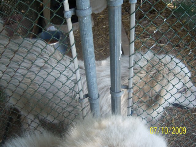 100_2080.jpg