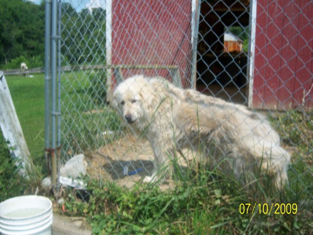 100_2082.jpg