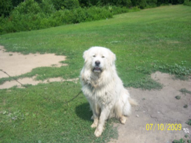 100_2084.jpg