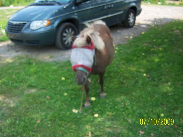 100_2085.jpg