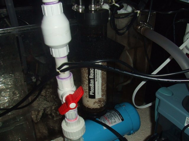 sump plumbing.JPG