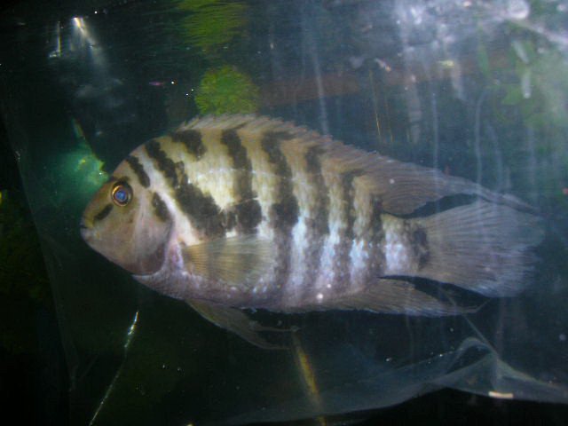 DSCN4291.JPG