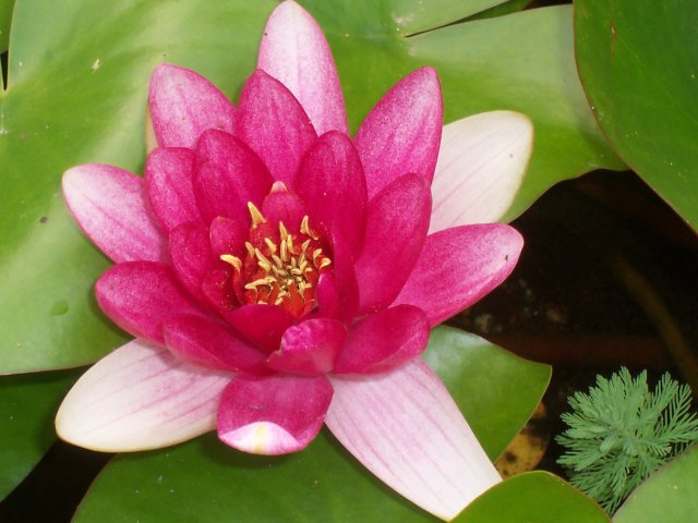 100_1825.JPG