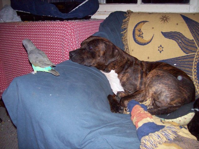 baela n kelly.jpg baela n kelly.jpg