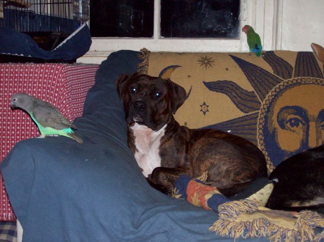 baela kelly 2.JPG baela kelly 2.JPG