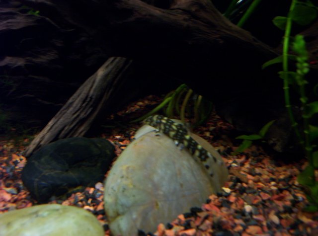 100_1282.JPG