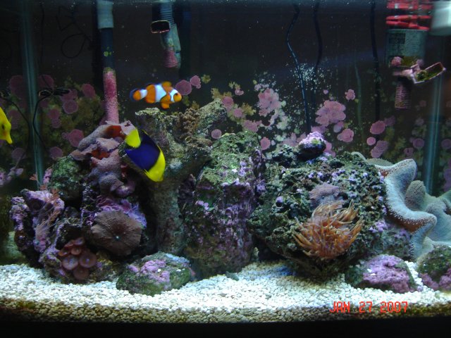 Picture or Video 076.jpg