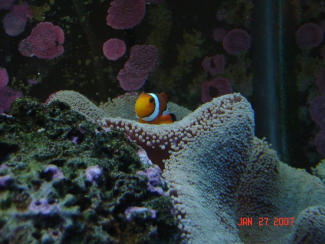 Picture or Video 091.jpg