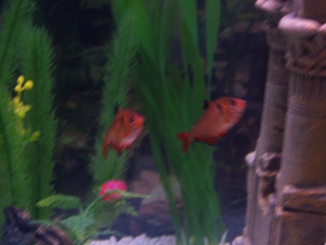 camera 001.jpg