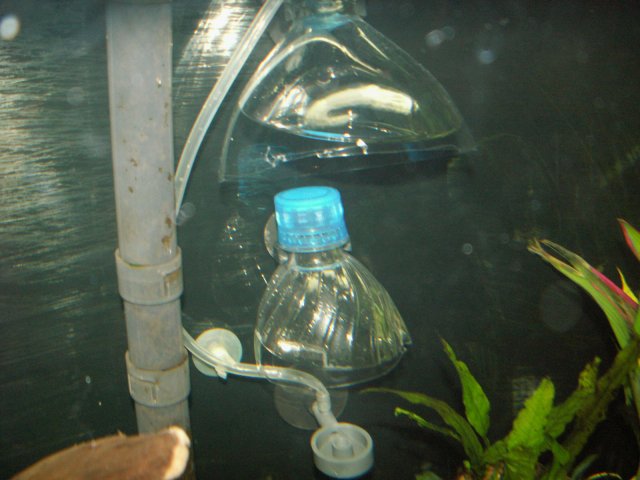 fish stuff 006.jpg