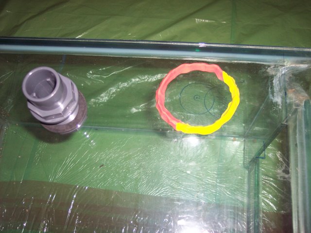 100_1462.JPG