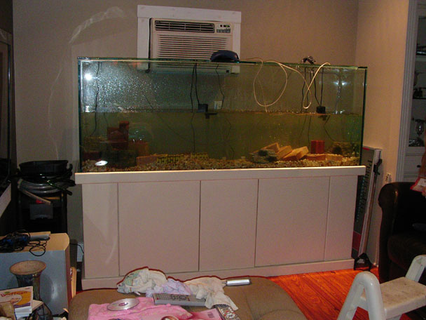 2007_0203_183112AA.JPG