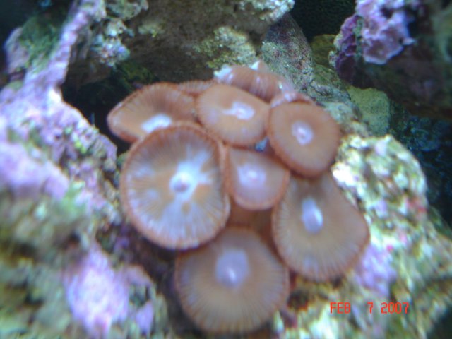 Picture or Video 036.jpg Picture or Video 036.jpg